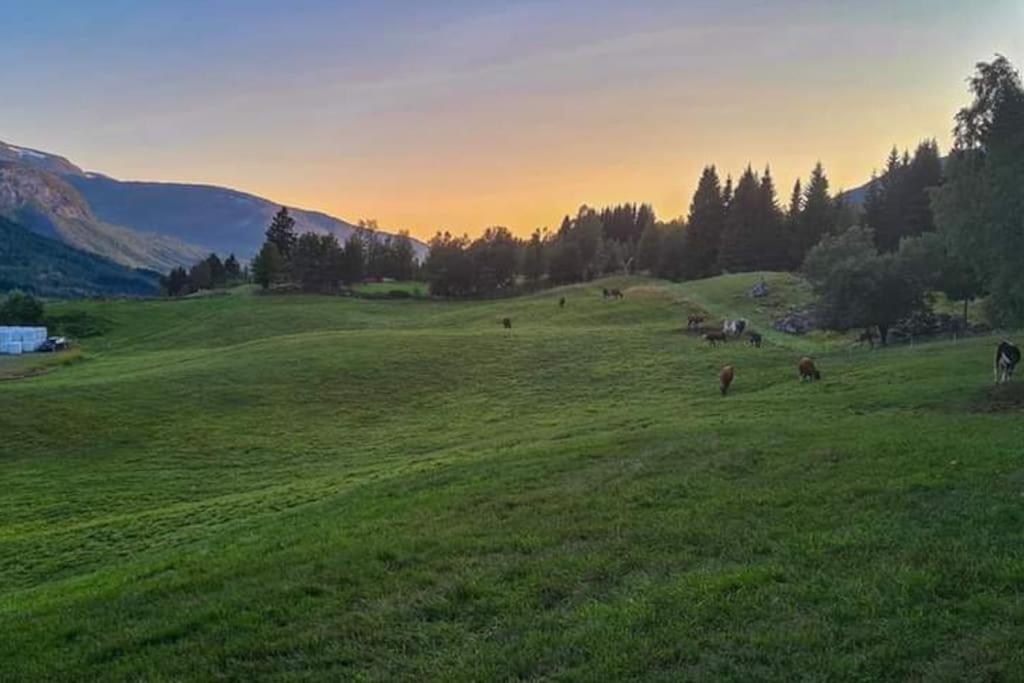 Holiday Home Among The Pearls Of Norway Stranda  Eksteriør billede