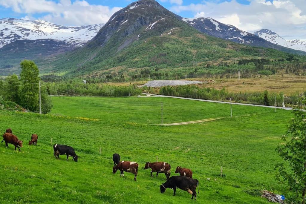 Holiday Home Among The Pearls Of Norway Stranda  Eksteriør billede