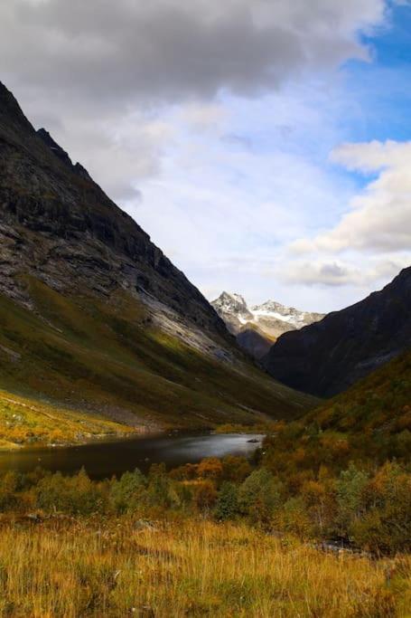 Holiday Home Among The Pearls Of Norway Stranda  Eksteriør billede