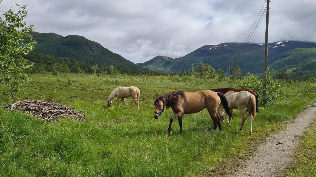 Holiday Home Among The Pearls Of Norway Stranda  Eksteriør billede