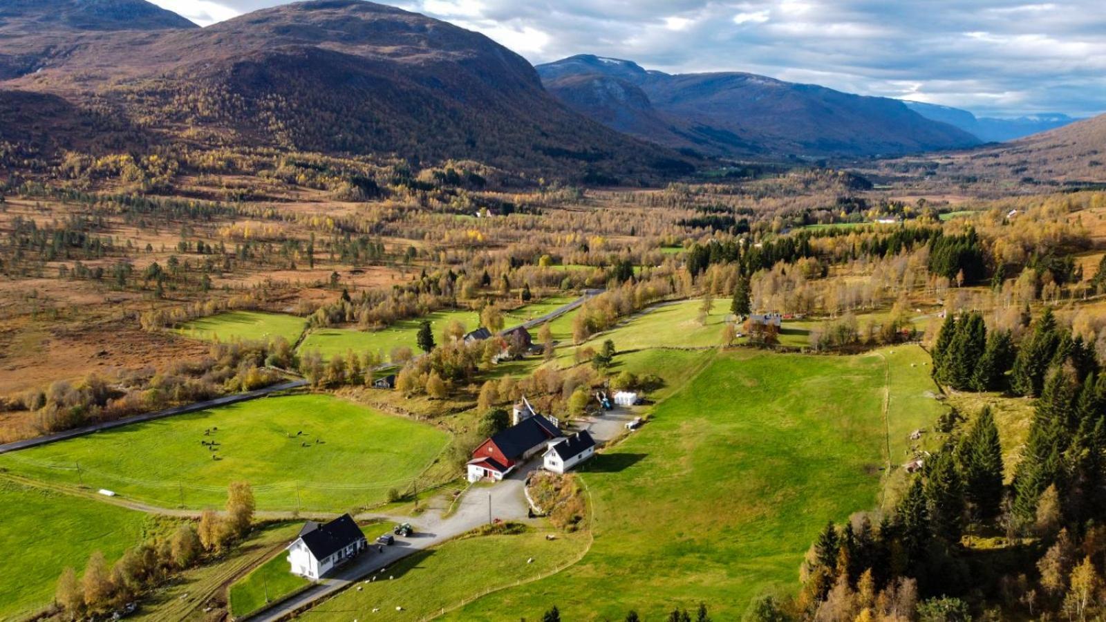 Holiday Home Among The Pearls Of Norway Stranda  Eksteriør billede